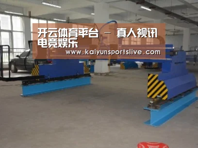 产品名称十八