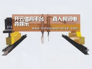 产品名称十七