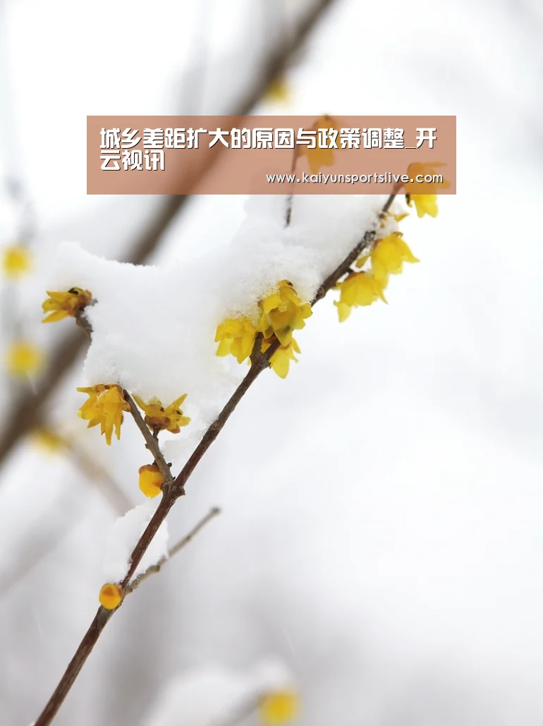 城乡差距扩大的原因与政策调整_开云视讯(图2) 开云平台