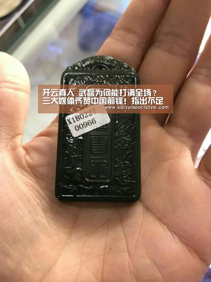 开云真人_武磊为何能打满全场? 三大媒体齐赞中国前锋!指出不足(图2) 开云电竞