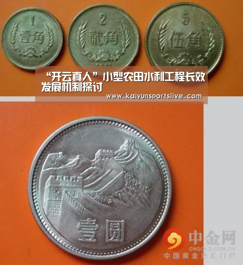 “开云真人”小型农田水利工程长效发展机制探讨(图2) 开云真人