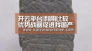 开云平台|利用比较优势战略促进我国产业升级(图1) 开云视讯