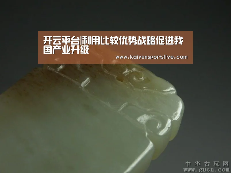 开云平台|利用比较优势战略促进我国产业升级(图4) 开云平台