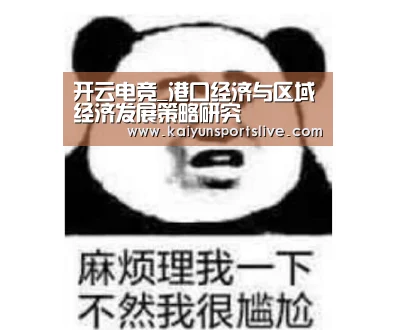 开云视讯
