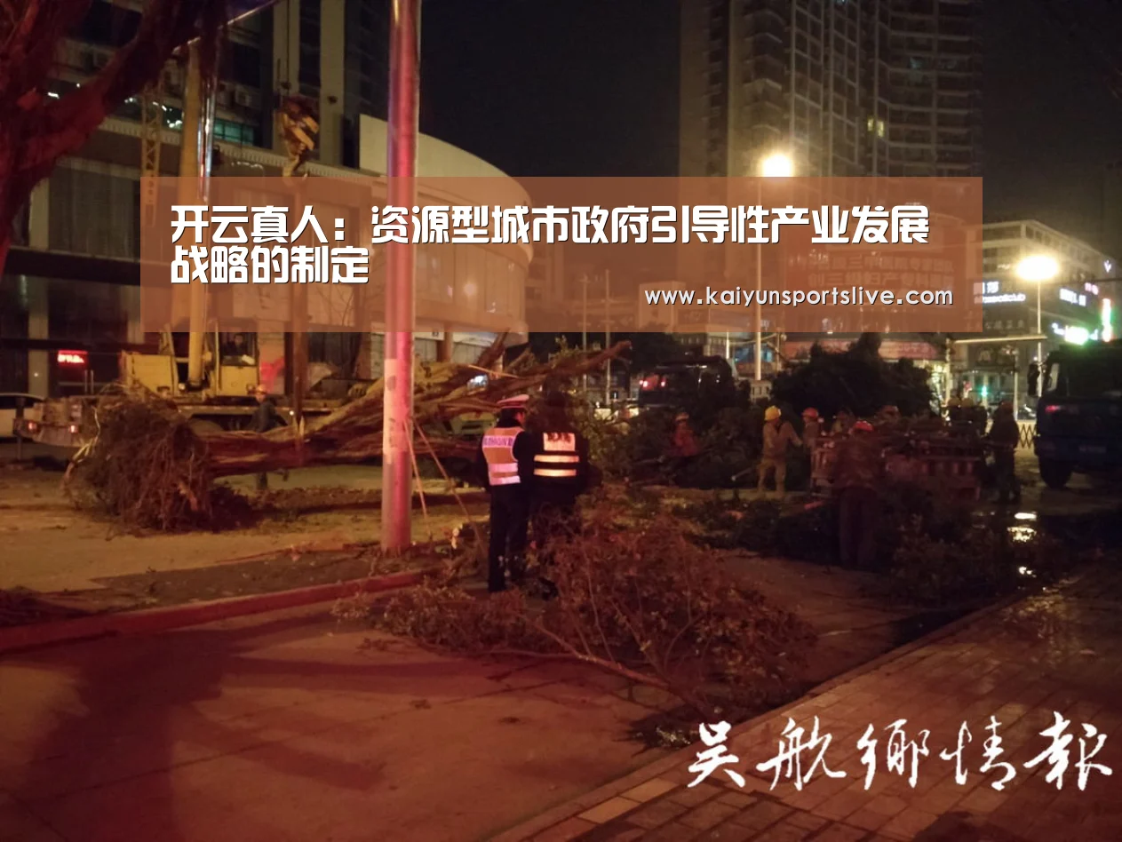 开云真人:资源型城市政府引导性产业发展战略的制定(图3) 开云电竞