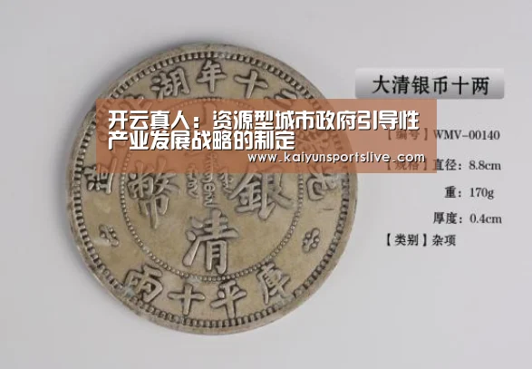 开云真人:资源型城市政府引导性产业发展战略的制定(图2) 开云视讯