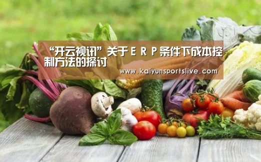 “开云视讯”关于ERP条件下成本控制方法的探讨(图2) 开云真人