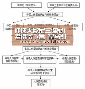 冲逆天欧冠三连冠!老佛爷下旨 皇马即将续约齐祖‘开云真人’(图1) 开云平台