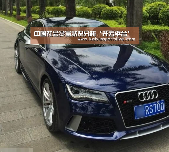 中国社会贫富状况分析‘开云平台’(图1) 开云真人
