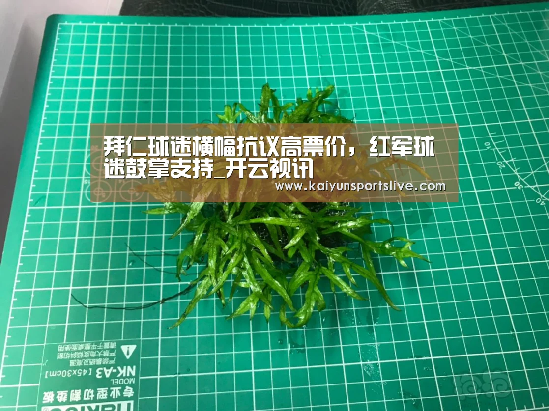 拜仁球迷横幅抗议高票价，红军球迷鼓掌支持_开云视讯
