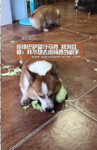 拒绝巴萨留守马竞 格列兹曼:我不想去给梅西当副手!_开云真人(图2) 开云平台