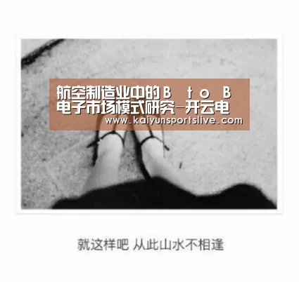 航空制造业中的B to B电子市场模式研究-开云电竞(图3) 开云视讯