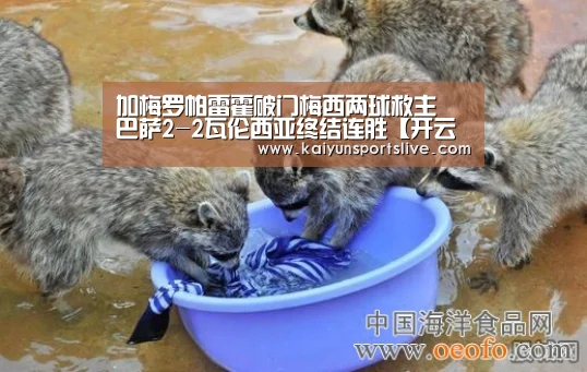加梅罗帕雷霍破门梅西两球救主 巴萨2-2瓦伦西亚终结连胜【开云电竞】(图1) 开云平台