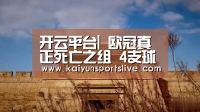 开云视讯